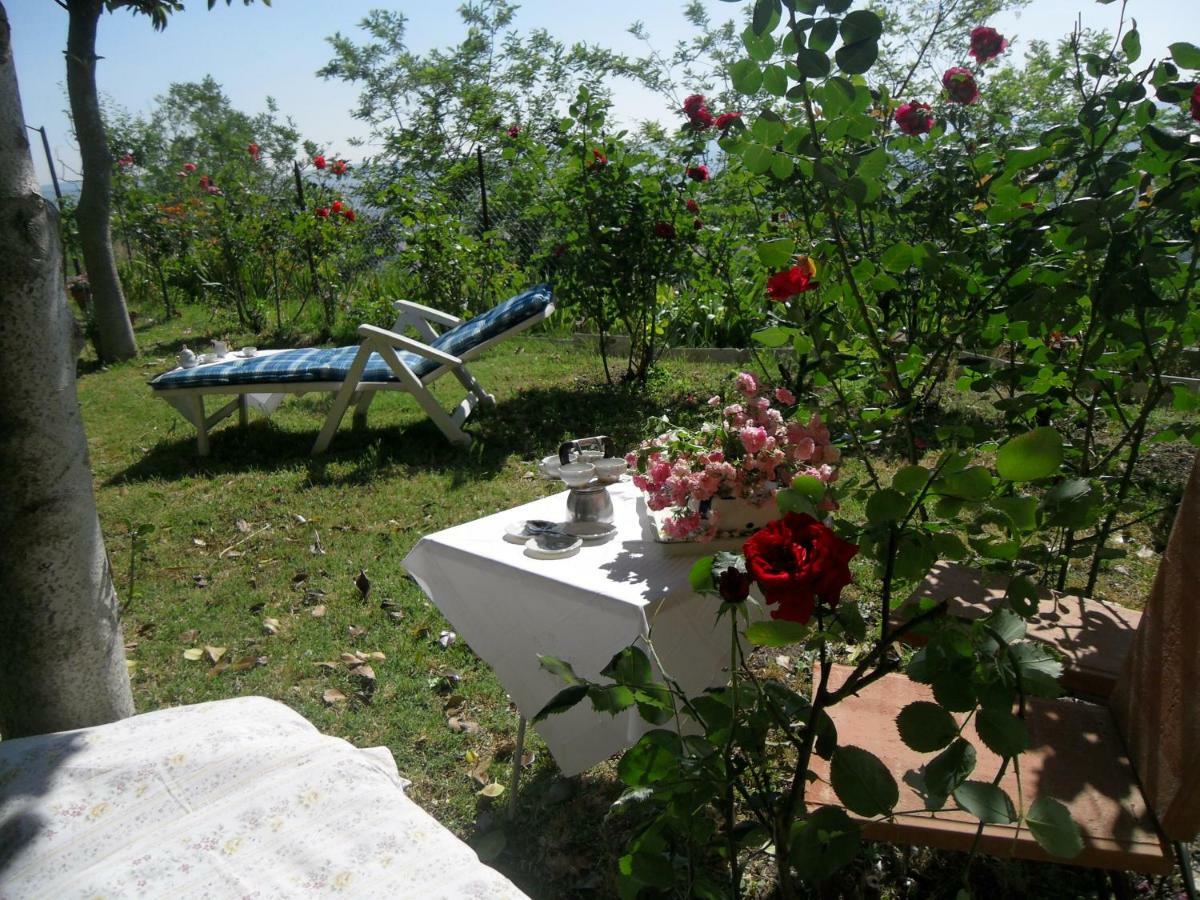 Вилла House With Stunning Views Кьюздино Экстерьер фото