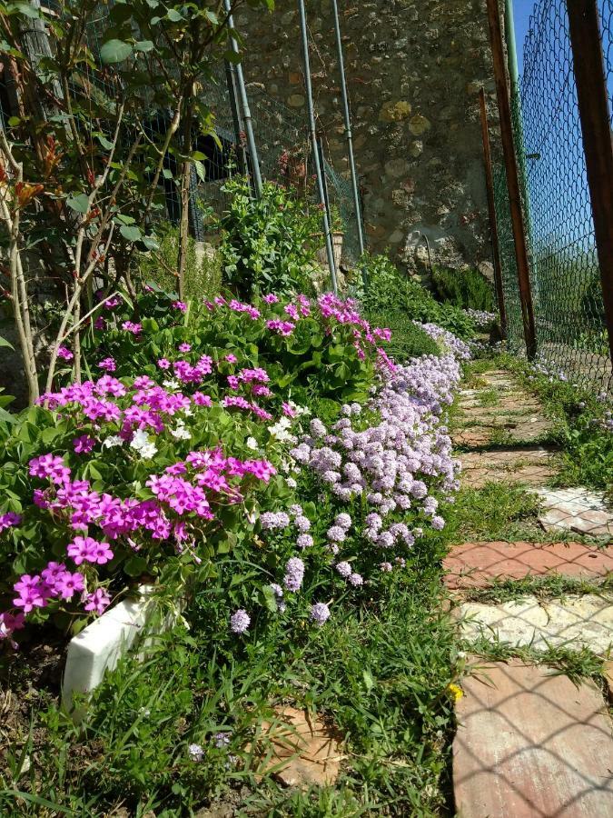 Вилла House With Stunning Views Кьюздино Экстерьер фото